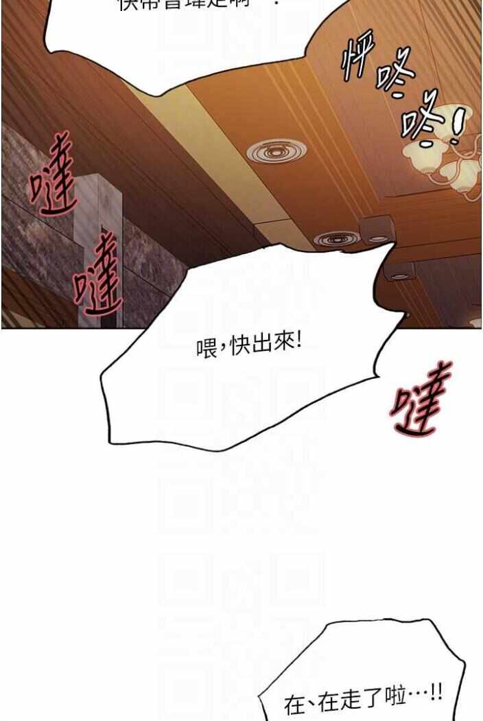 第66张