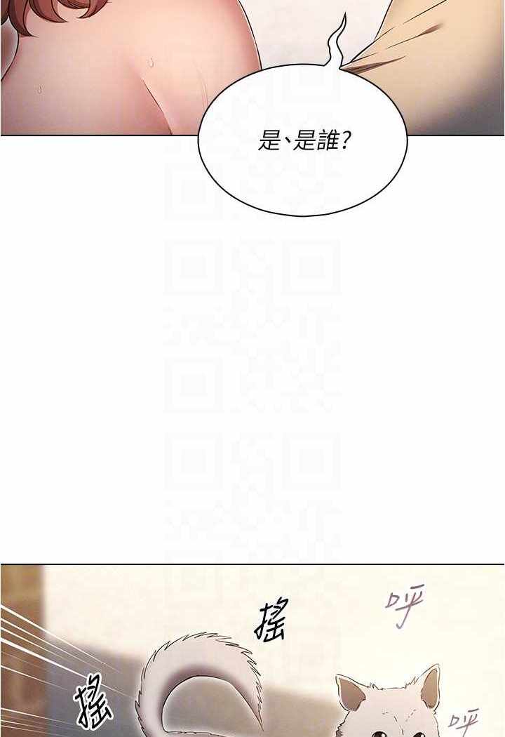 第91张