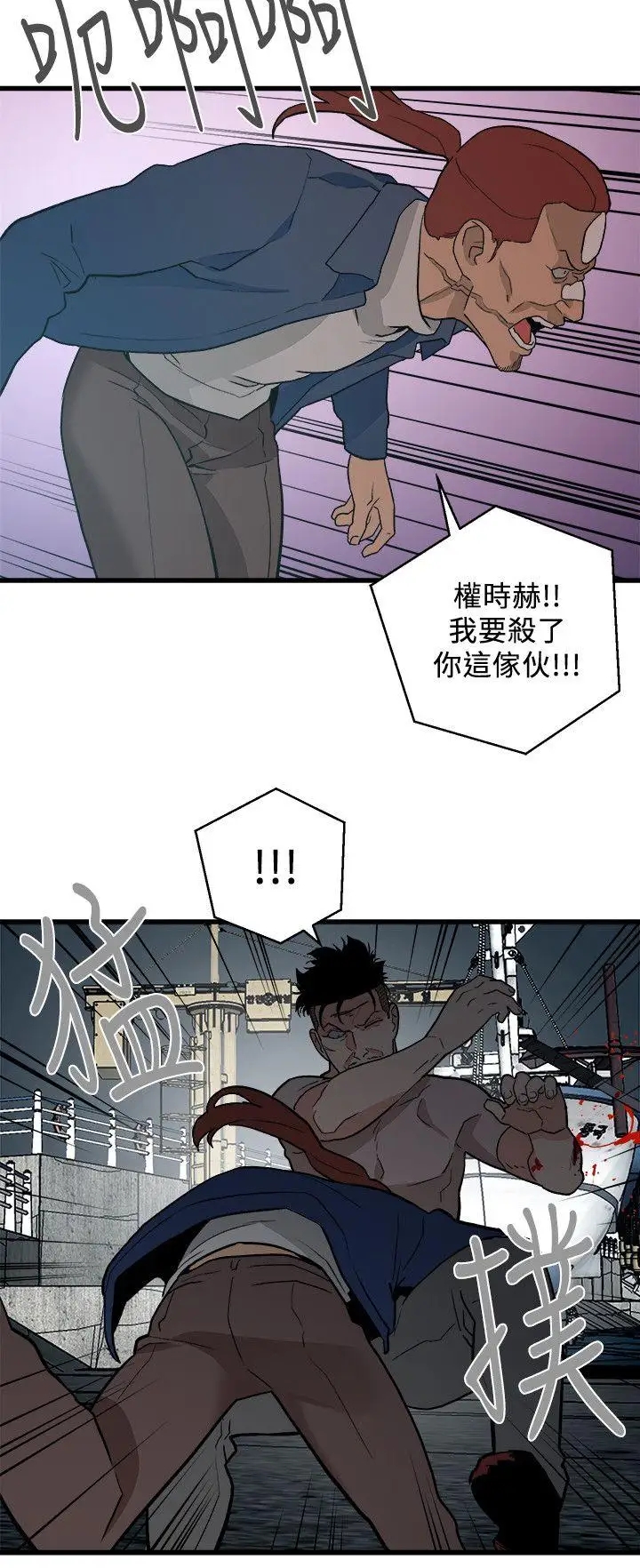 第16张