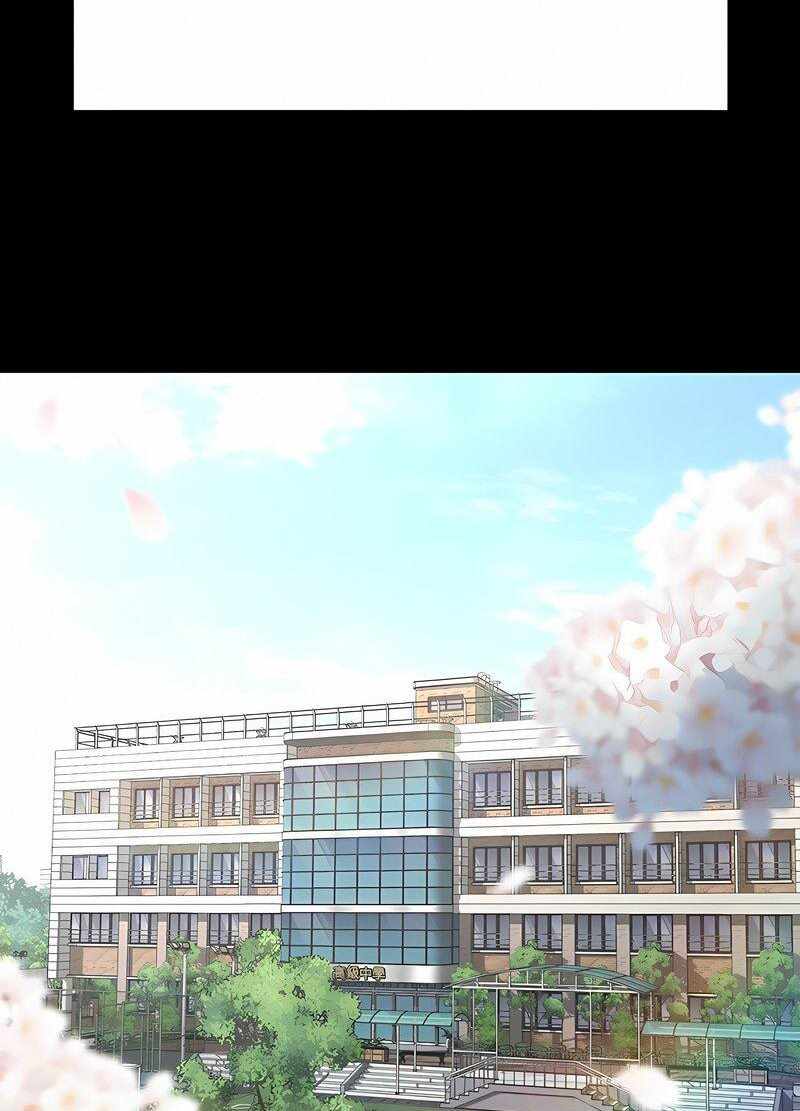 第68张
