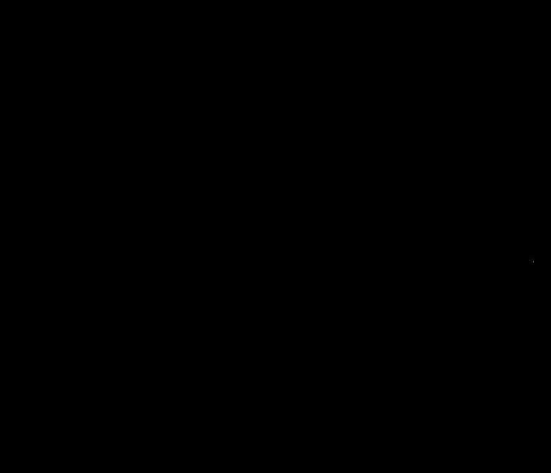 第161张