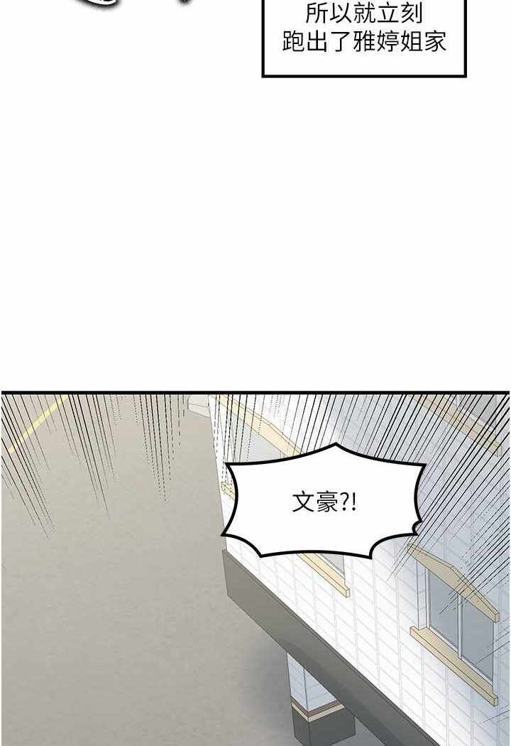第3张