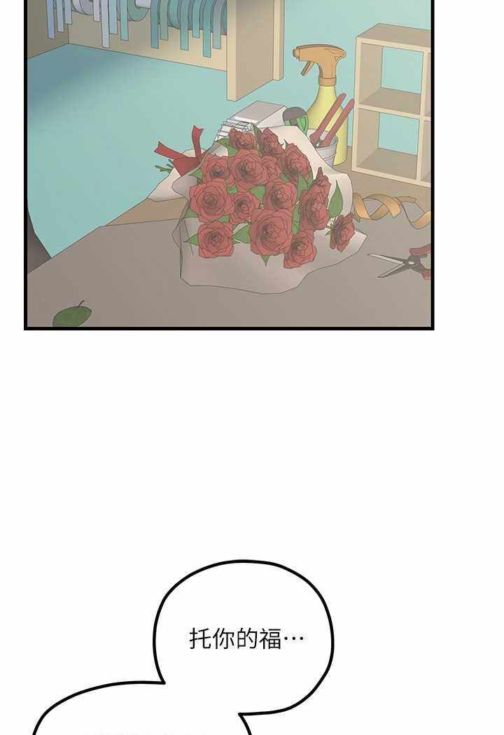 第36张