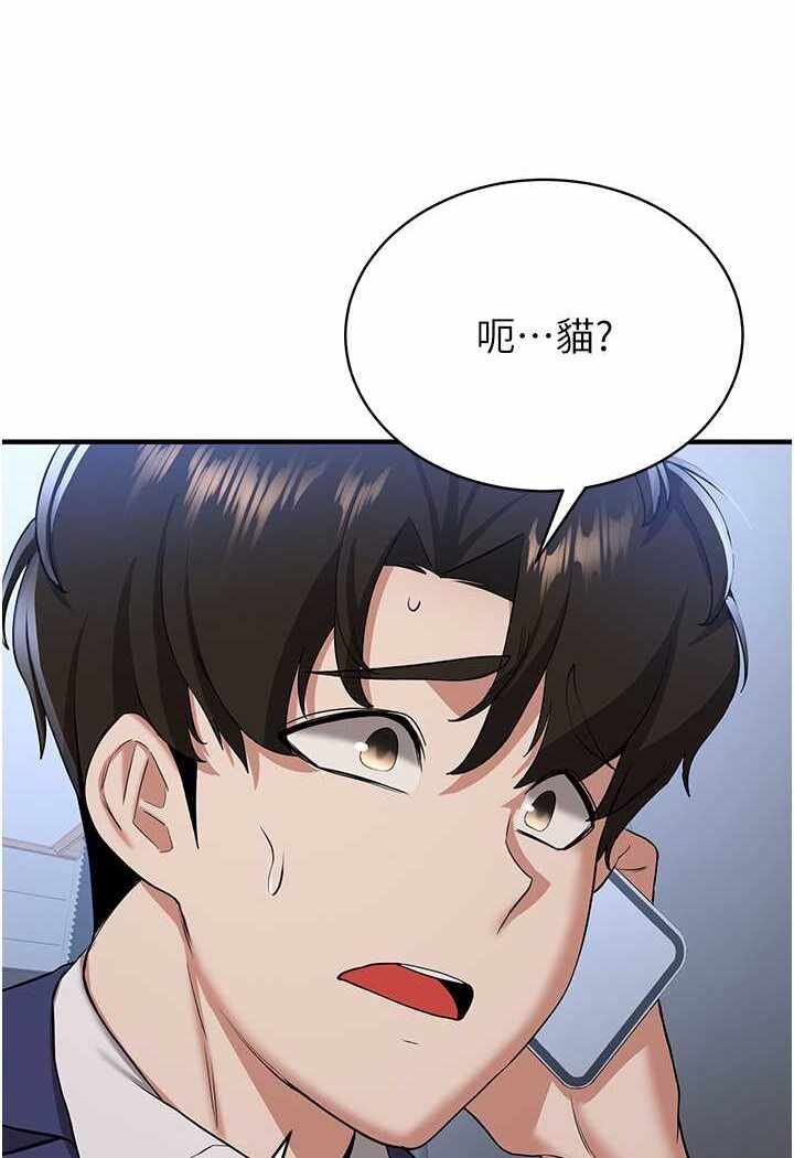第50张