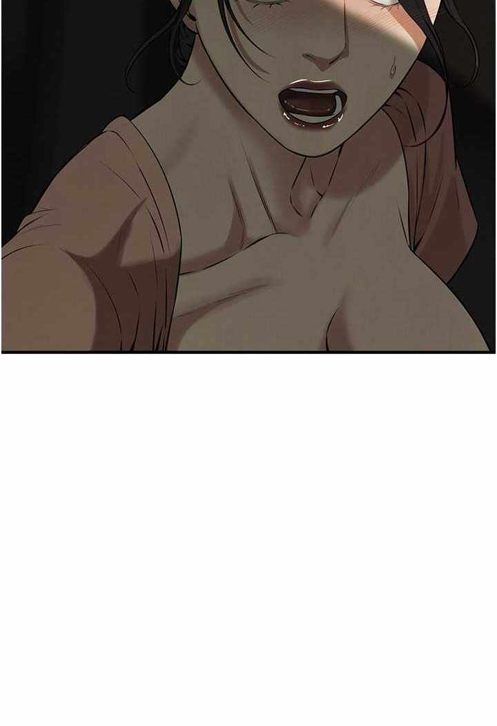 第115张