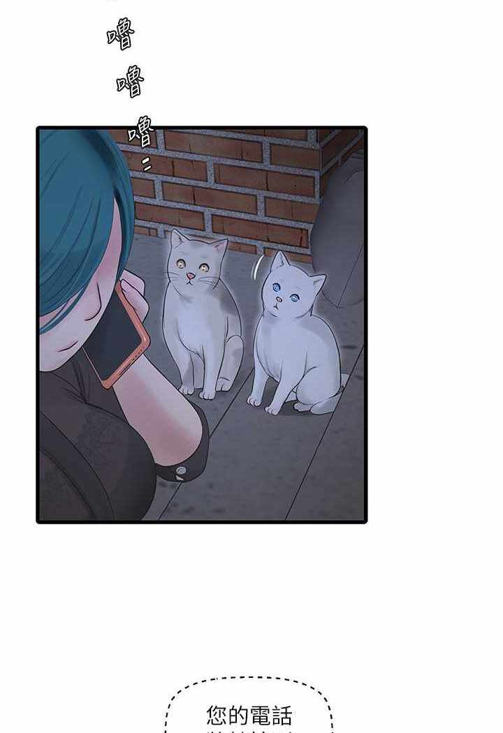 第4张