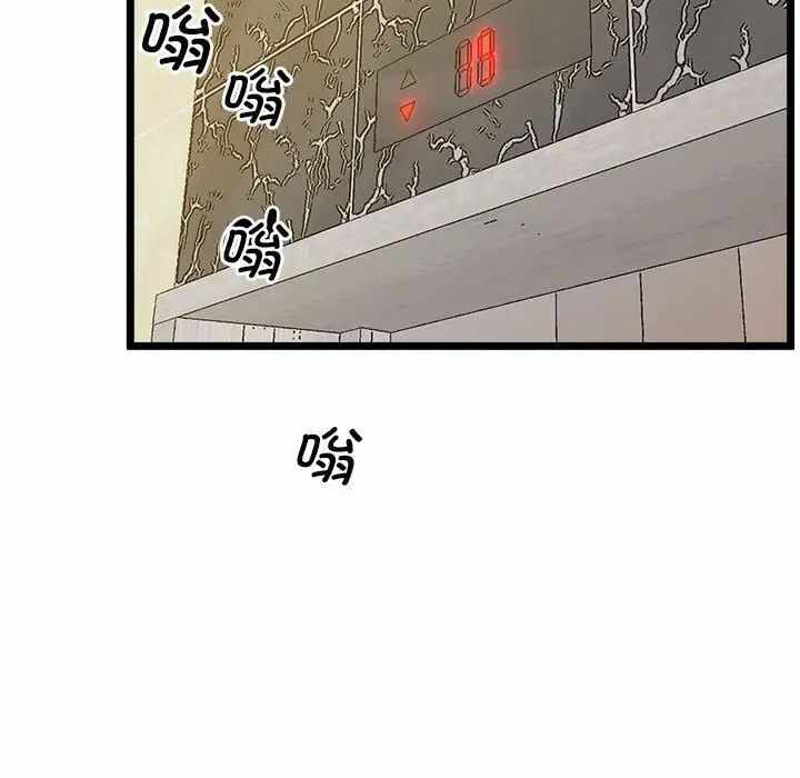 第116张