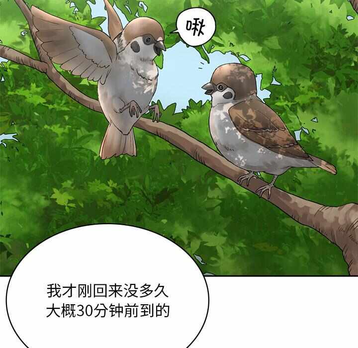 第94张