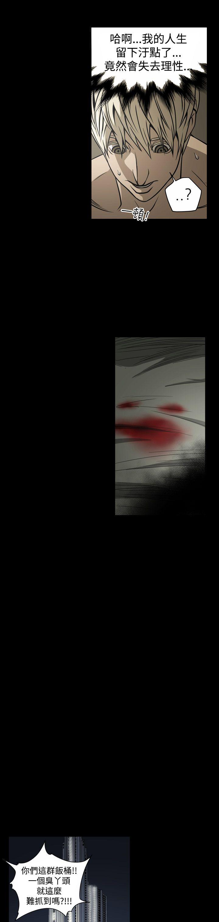 第17张