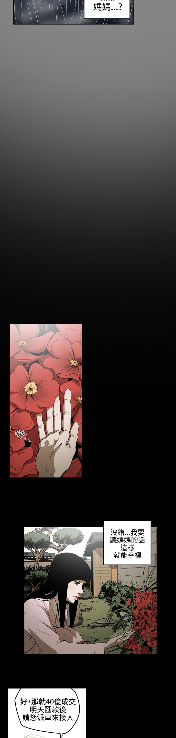 第12张
