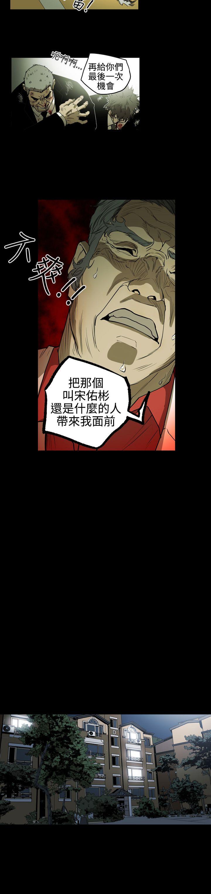 第8张