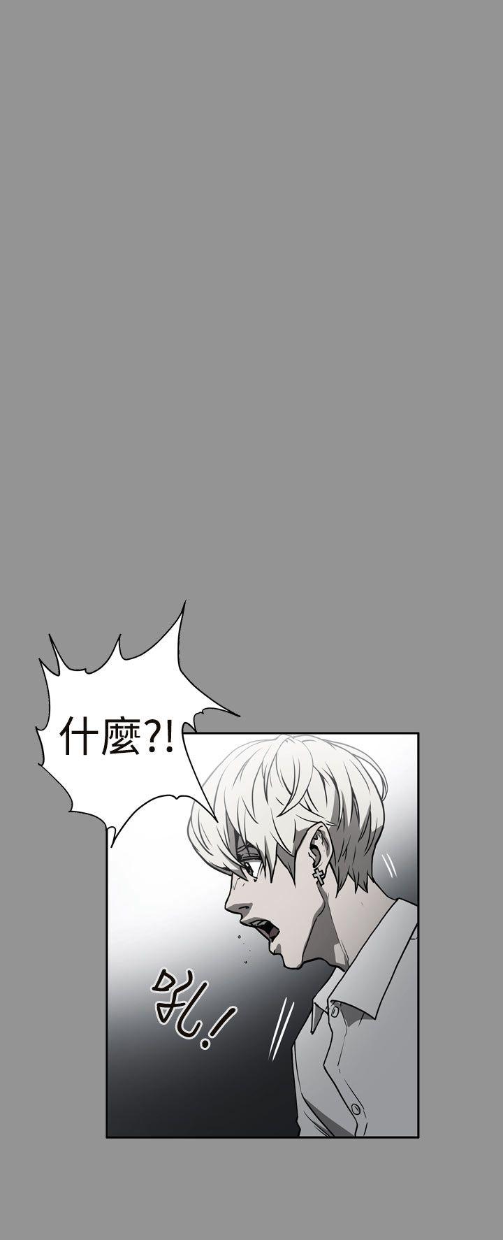 第9张