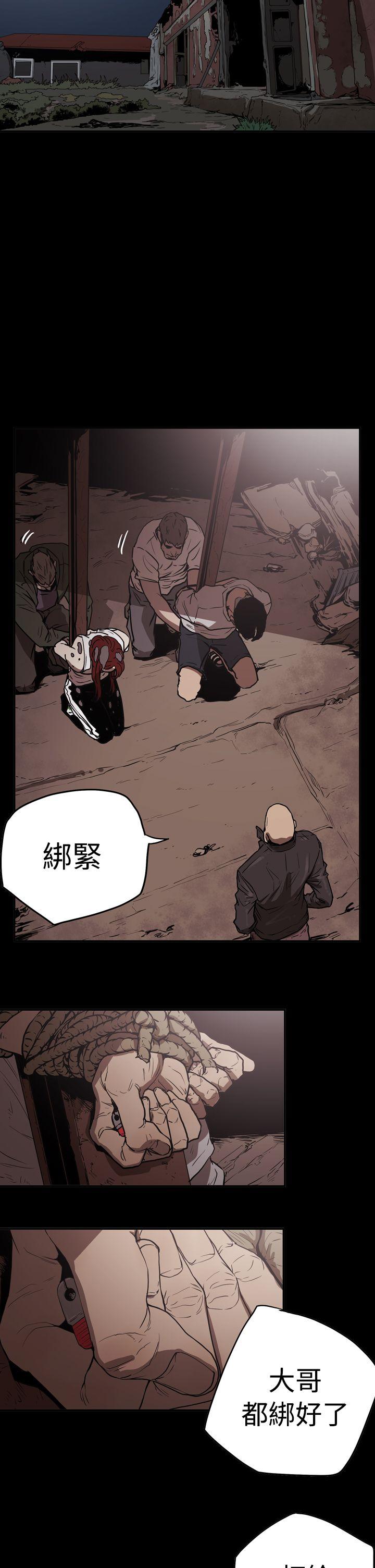 第5张