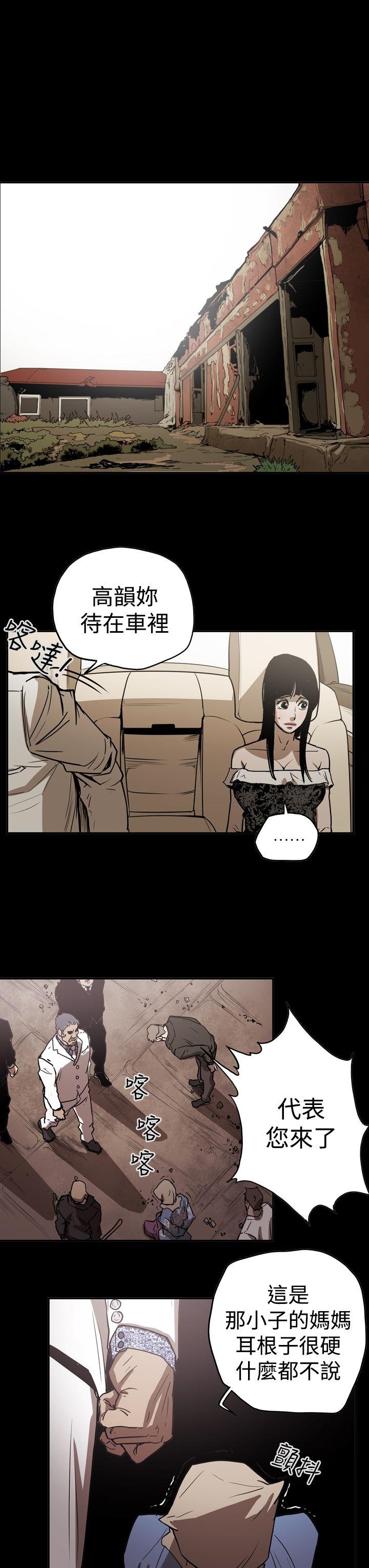 第13张