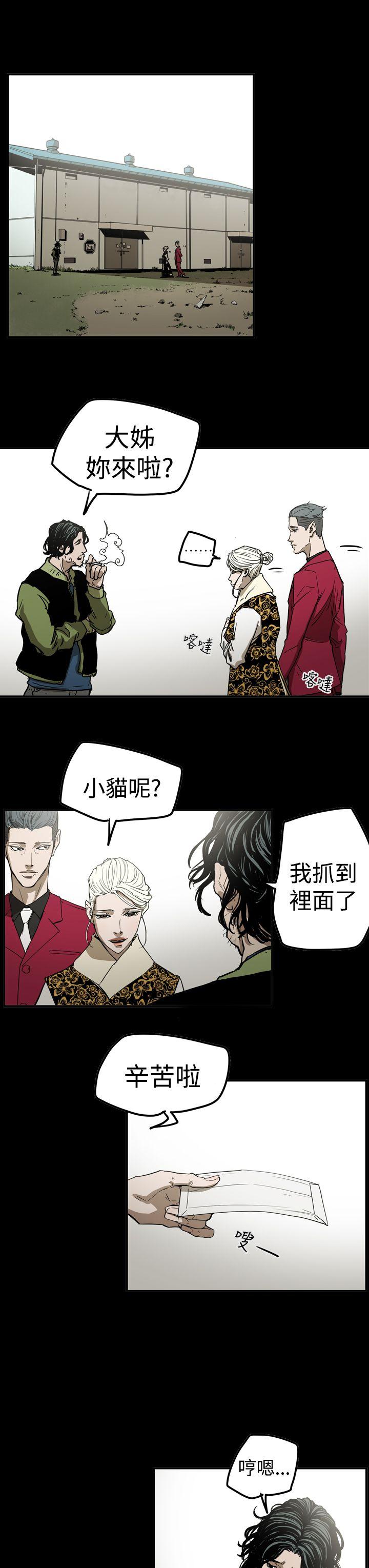 第3张