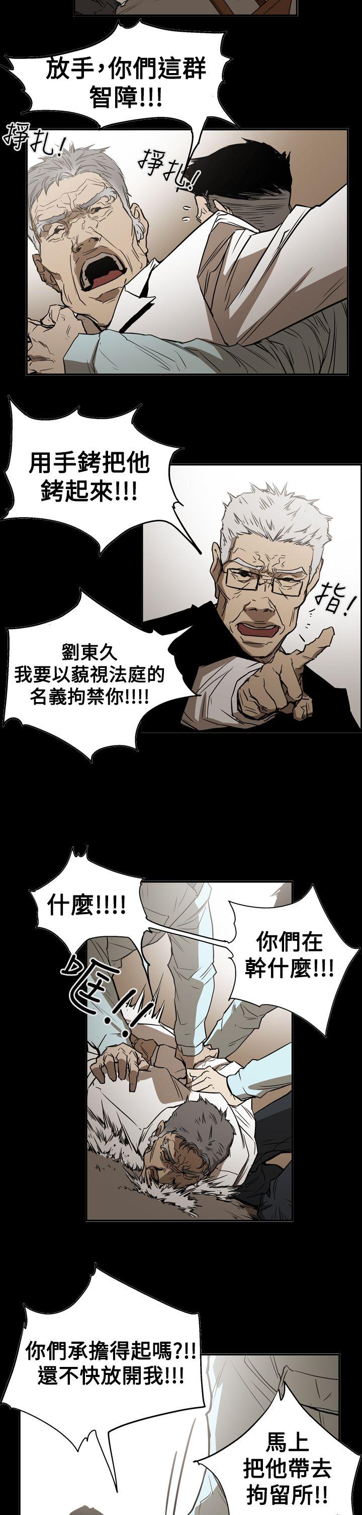 第11张