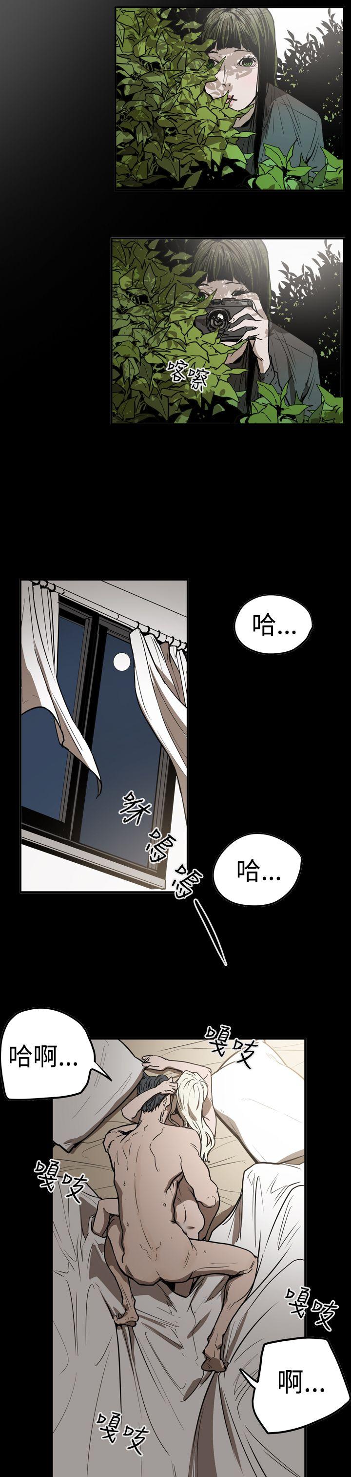第17张
