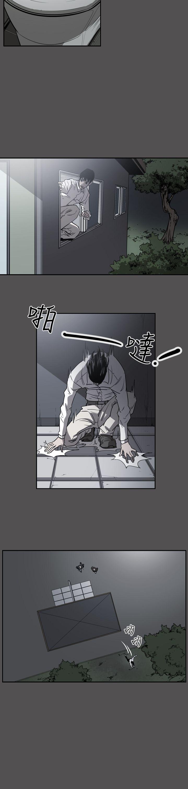 第24张