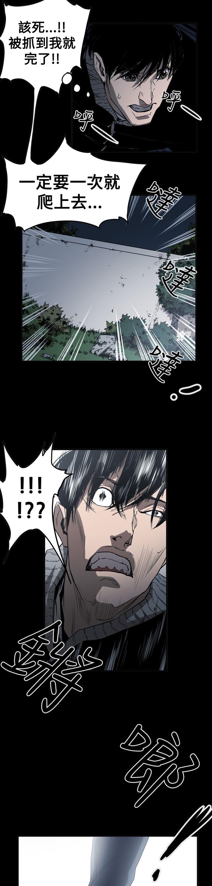 第23张
