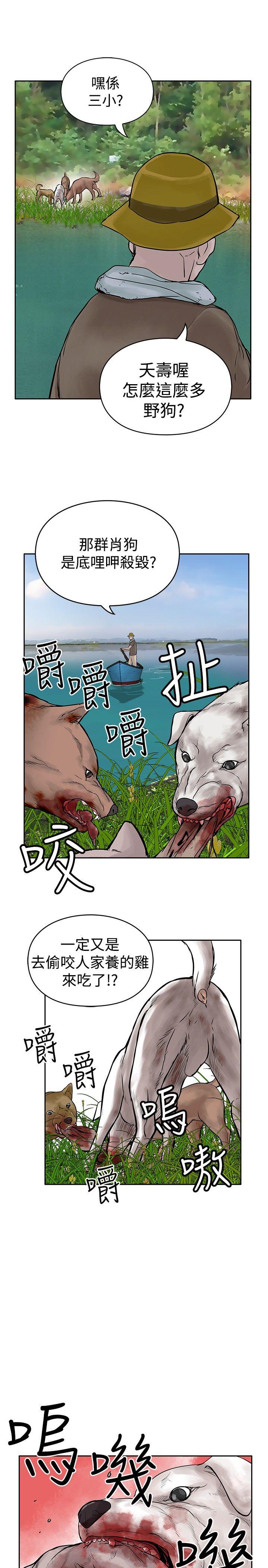 第26张