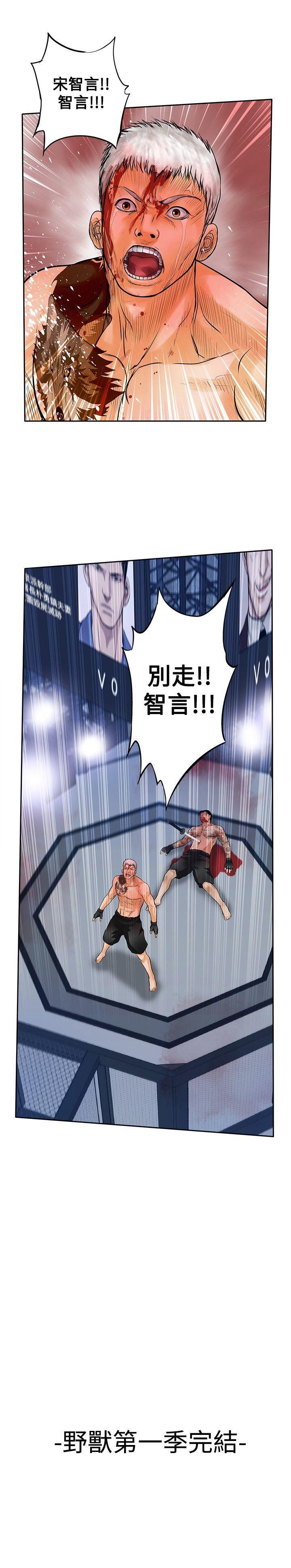 第31张