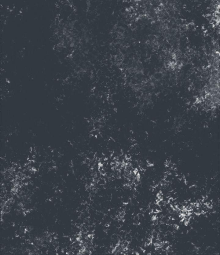 第8张