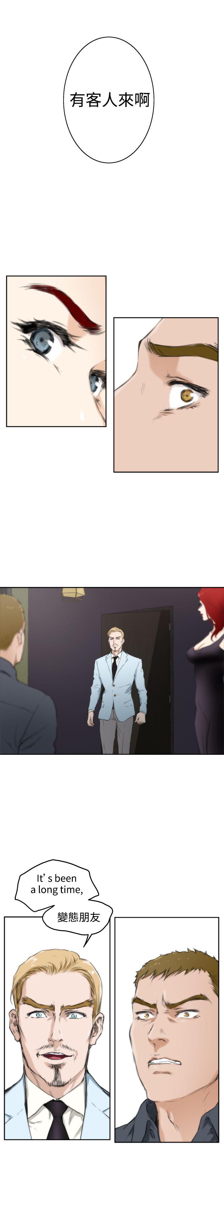 第17张