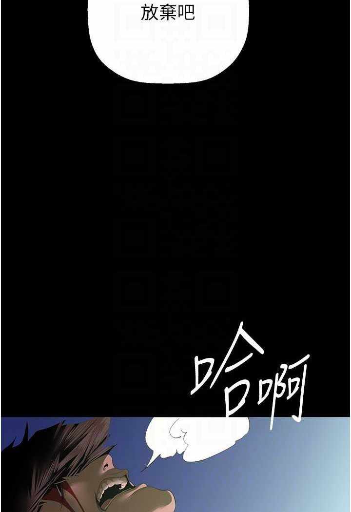第37张