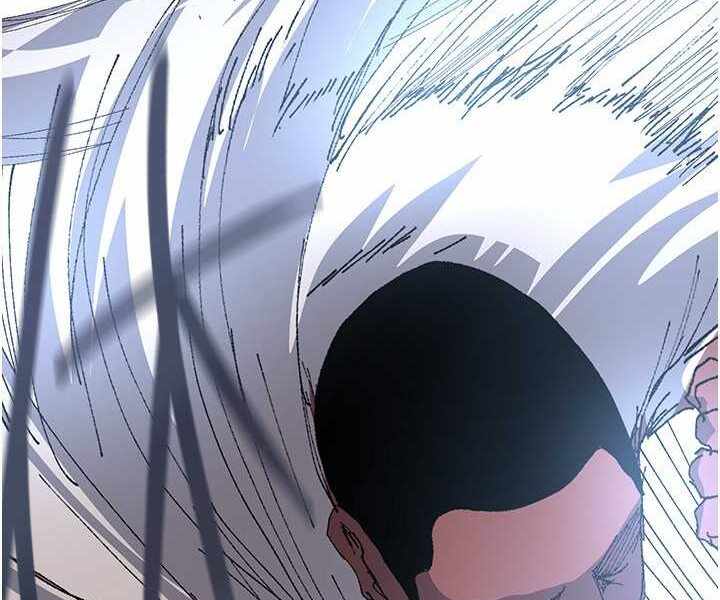 第115张