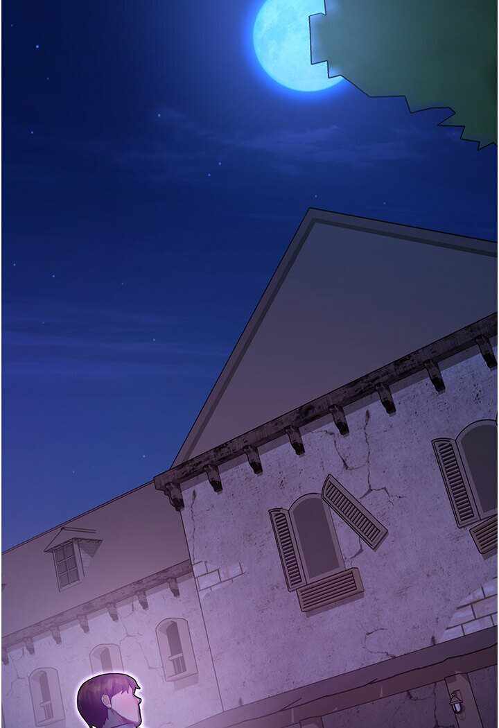 第41张
