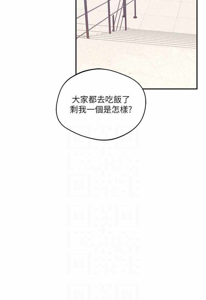 第17张