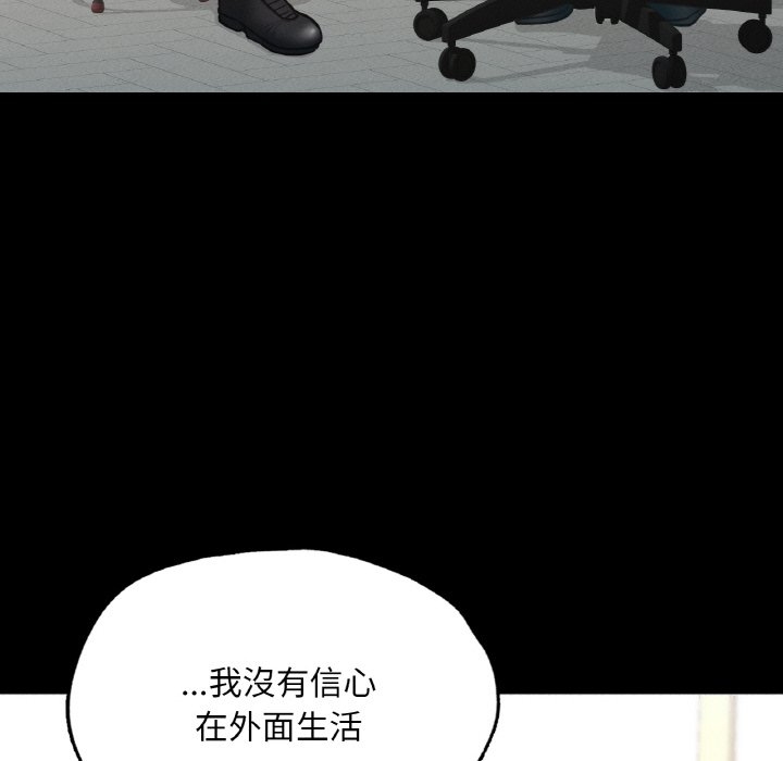 第17张