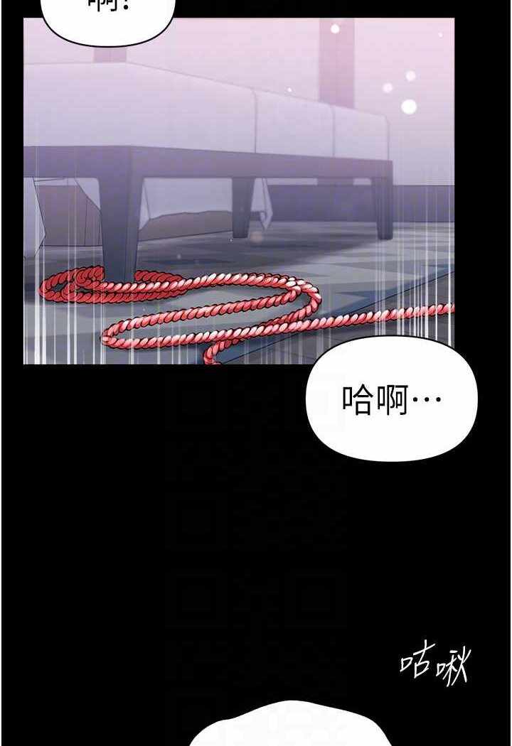 第16张