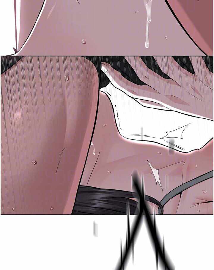 第5张