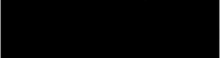 第61张