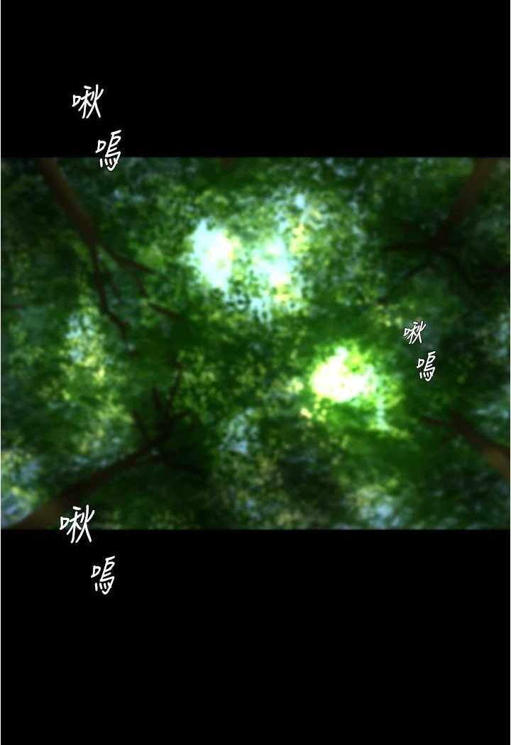 第61张
