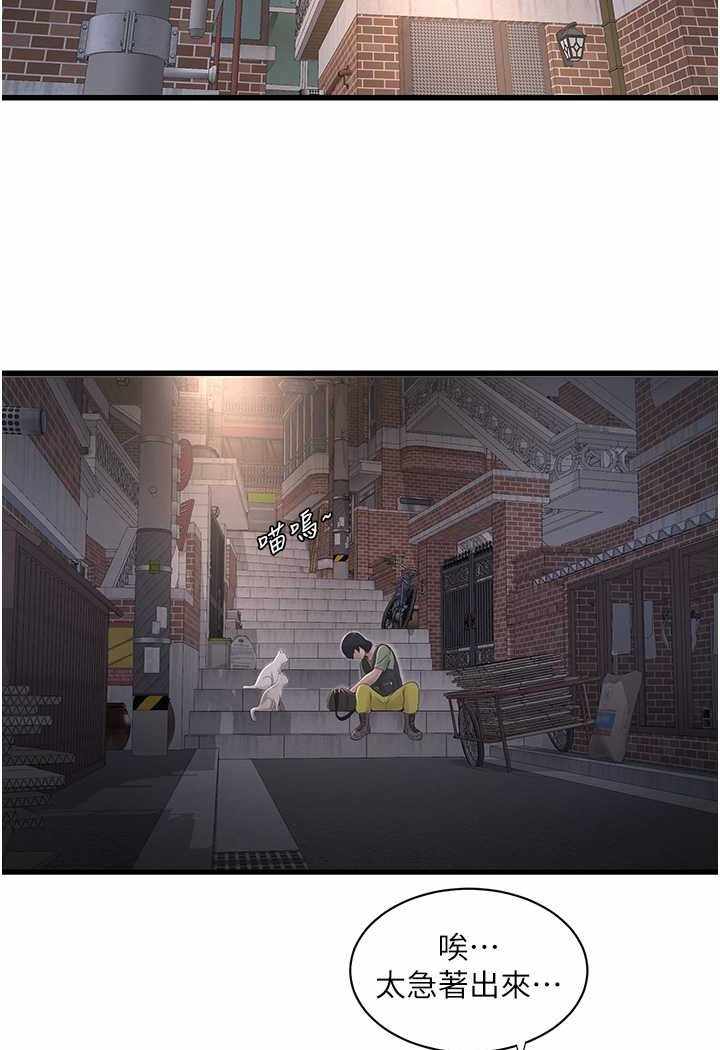 第17张