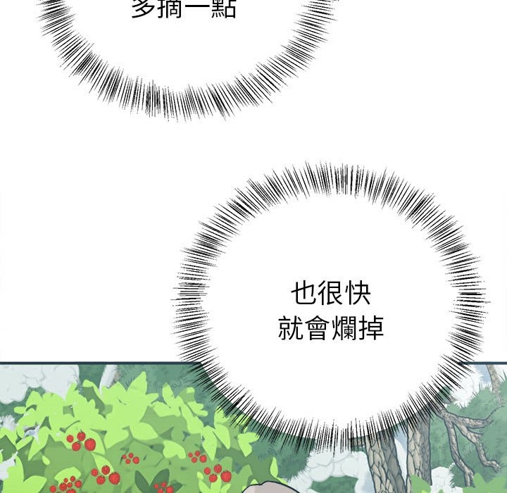 第44张