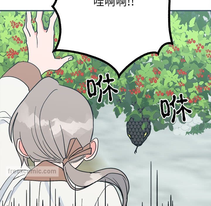 第52张
