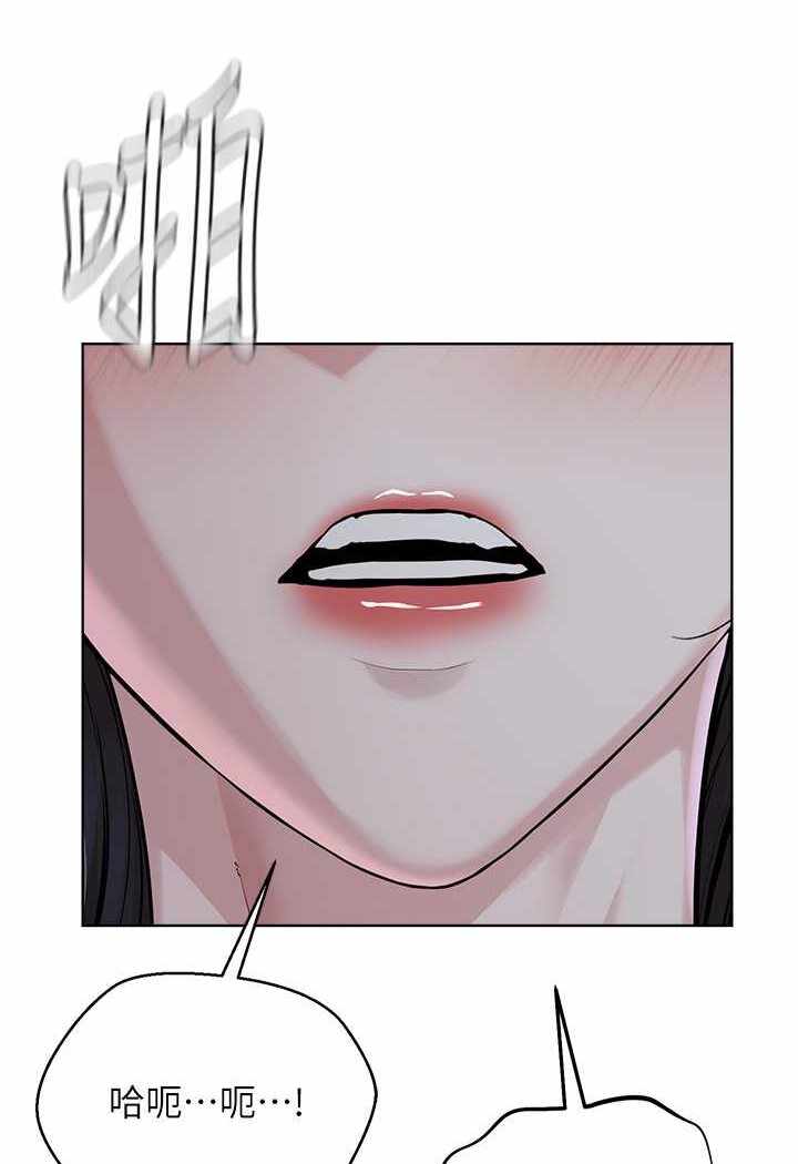 第52张