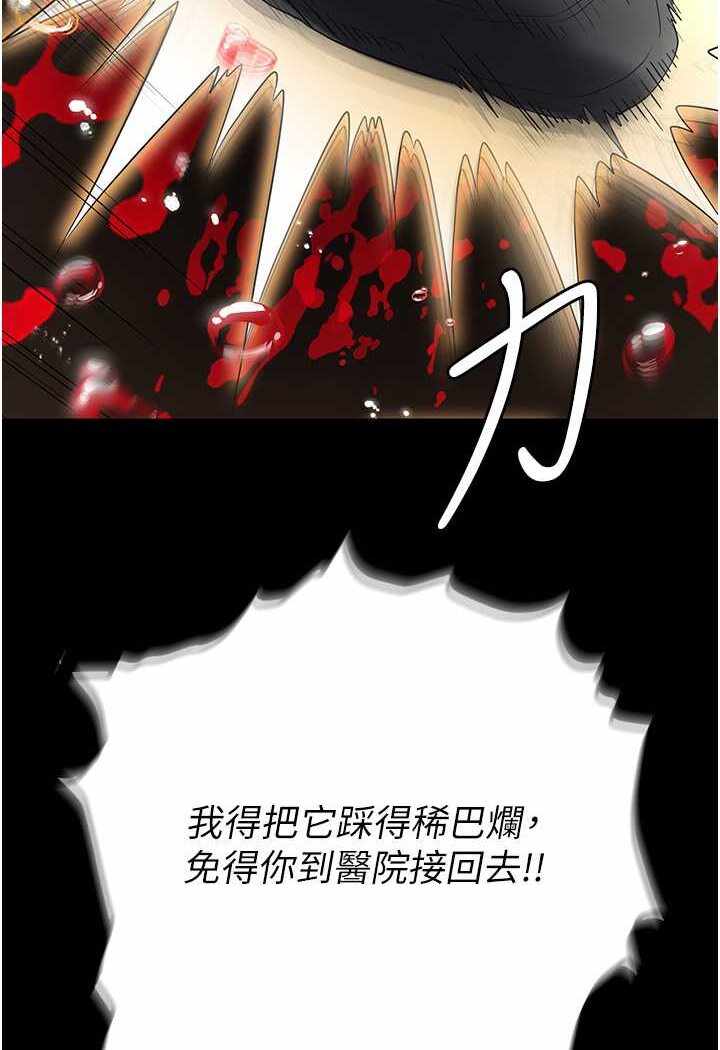 第126张