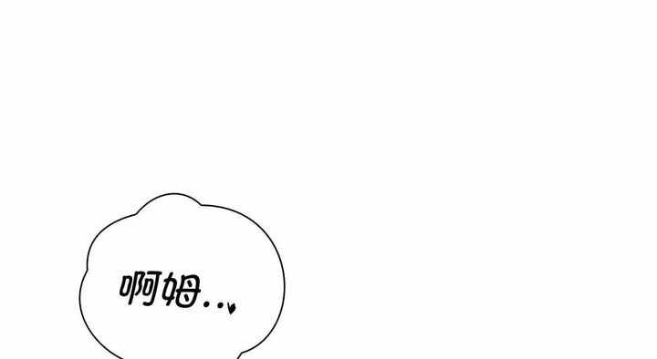 第117张
