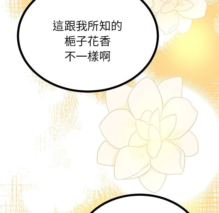 第17张