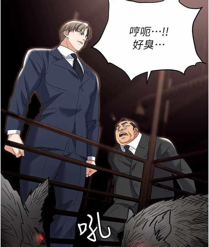 第9张