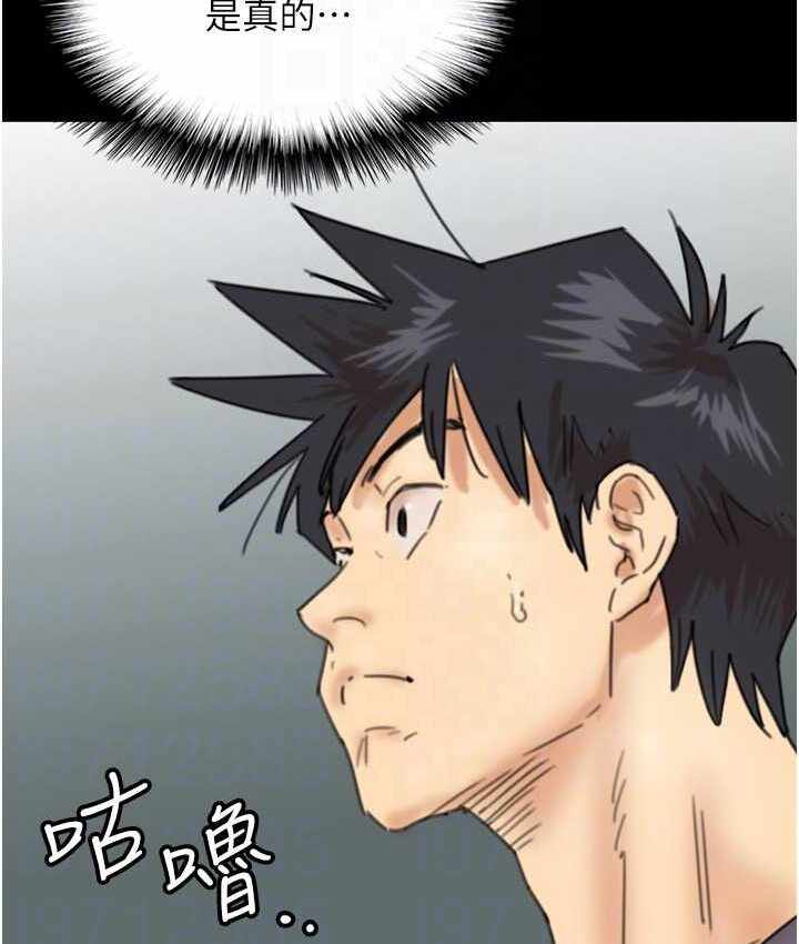第51张