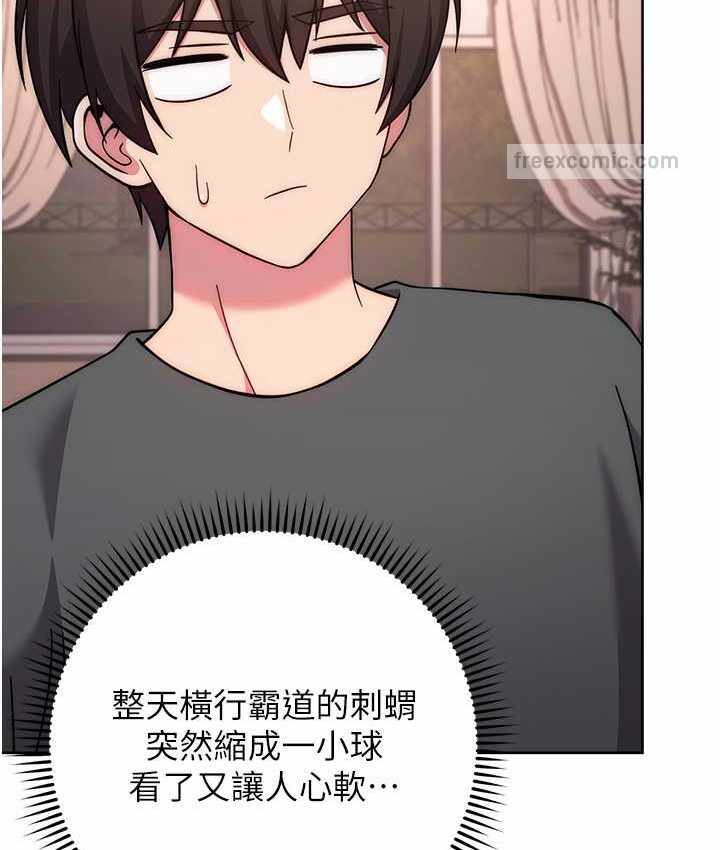 第14张