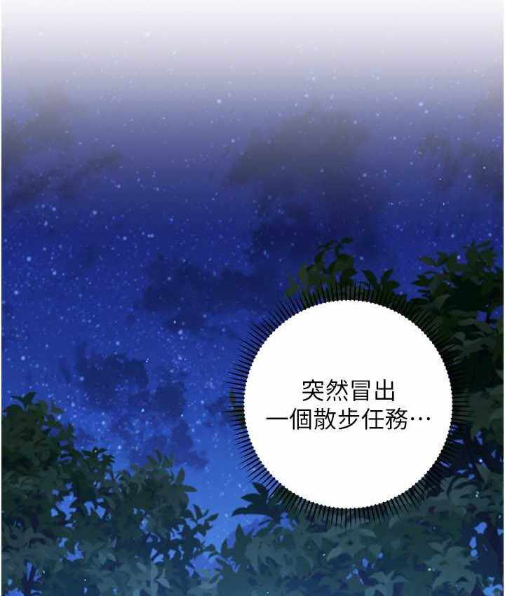 第63张