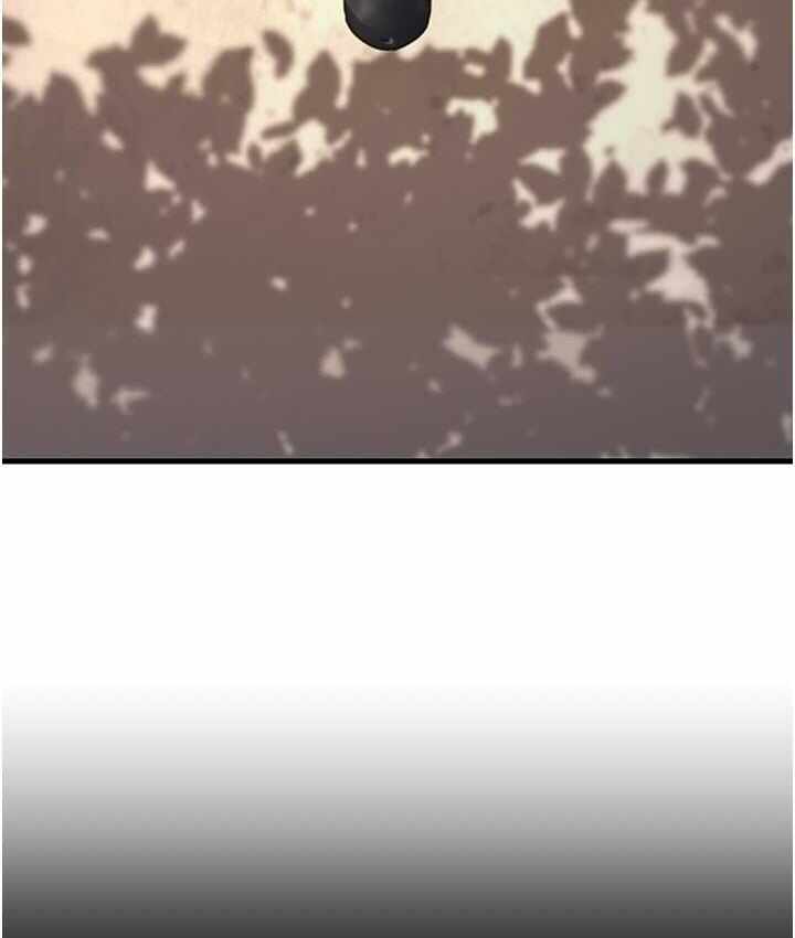 第33张