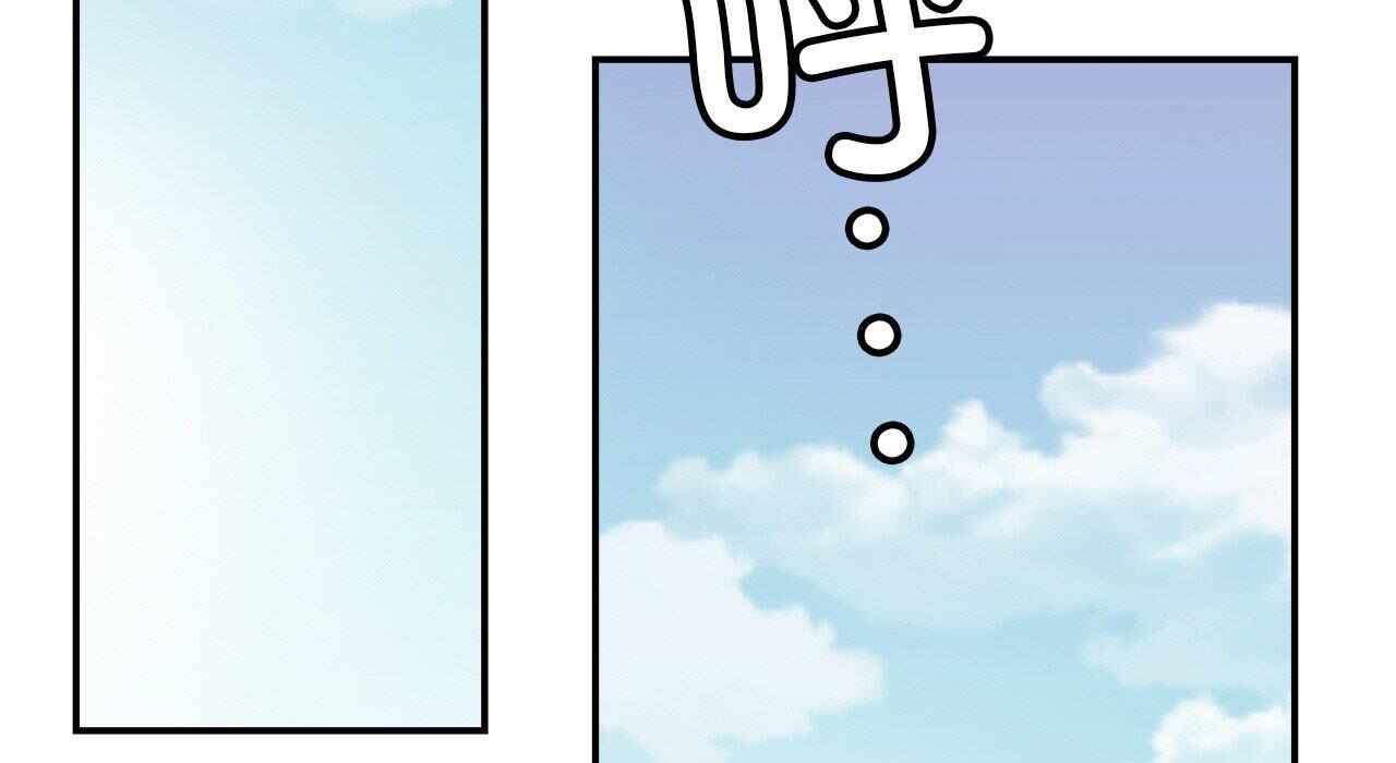 第224张