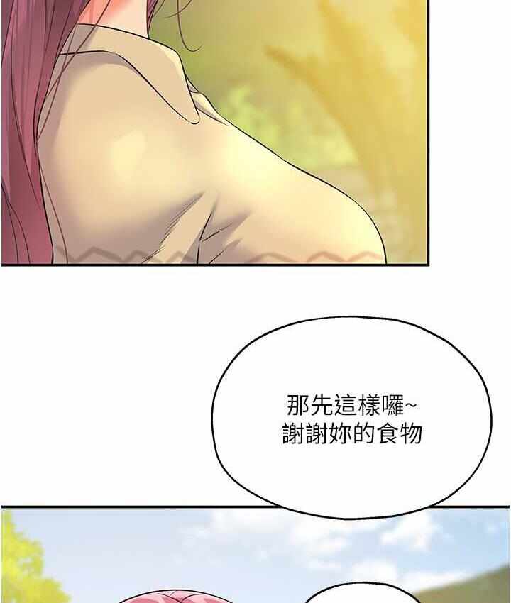 第49张